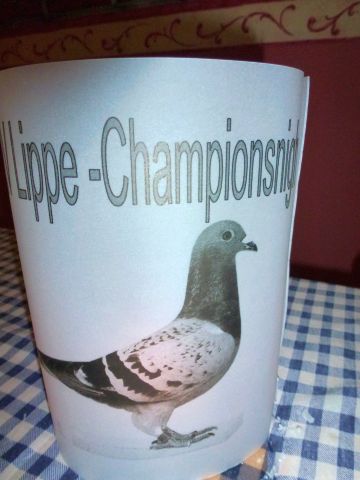 P1000105.JPG